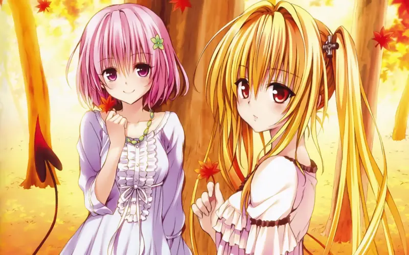 to love ru quiz